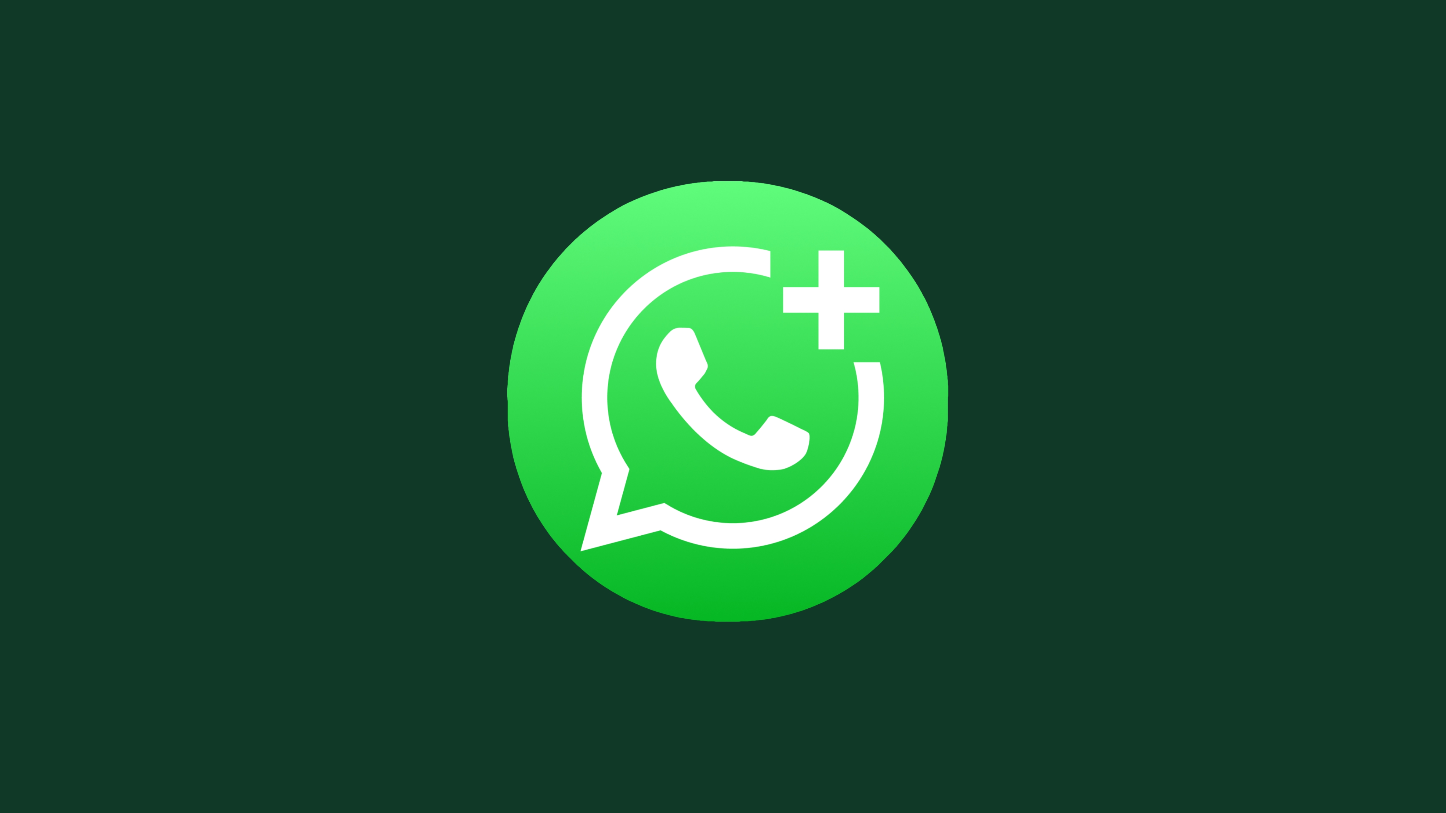 WhatsApp Number Detection